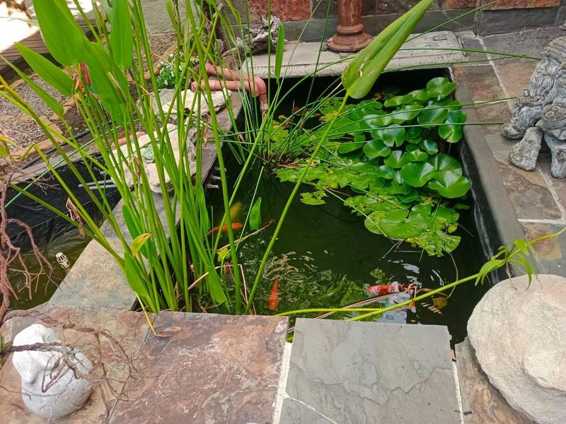 4 Bedroom Property for Sale in Suidrand Free State